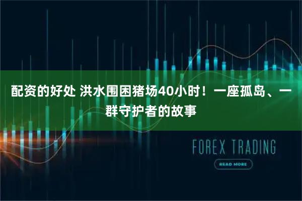 配资的好处 洪水围困猪场40小时！一座孤岛、一群守护者的故事